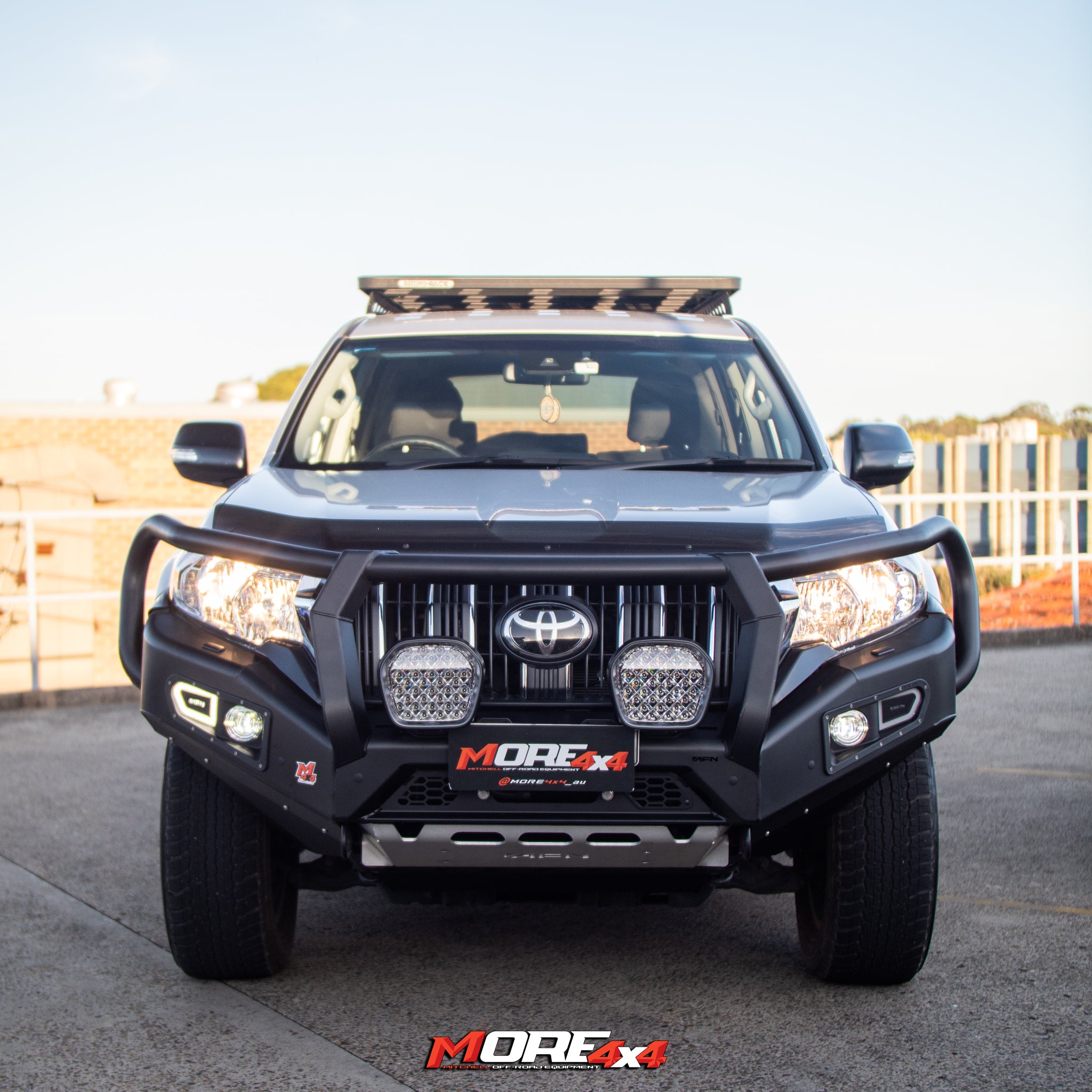 Prado Bull Bars