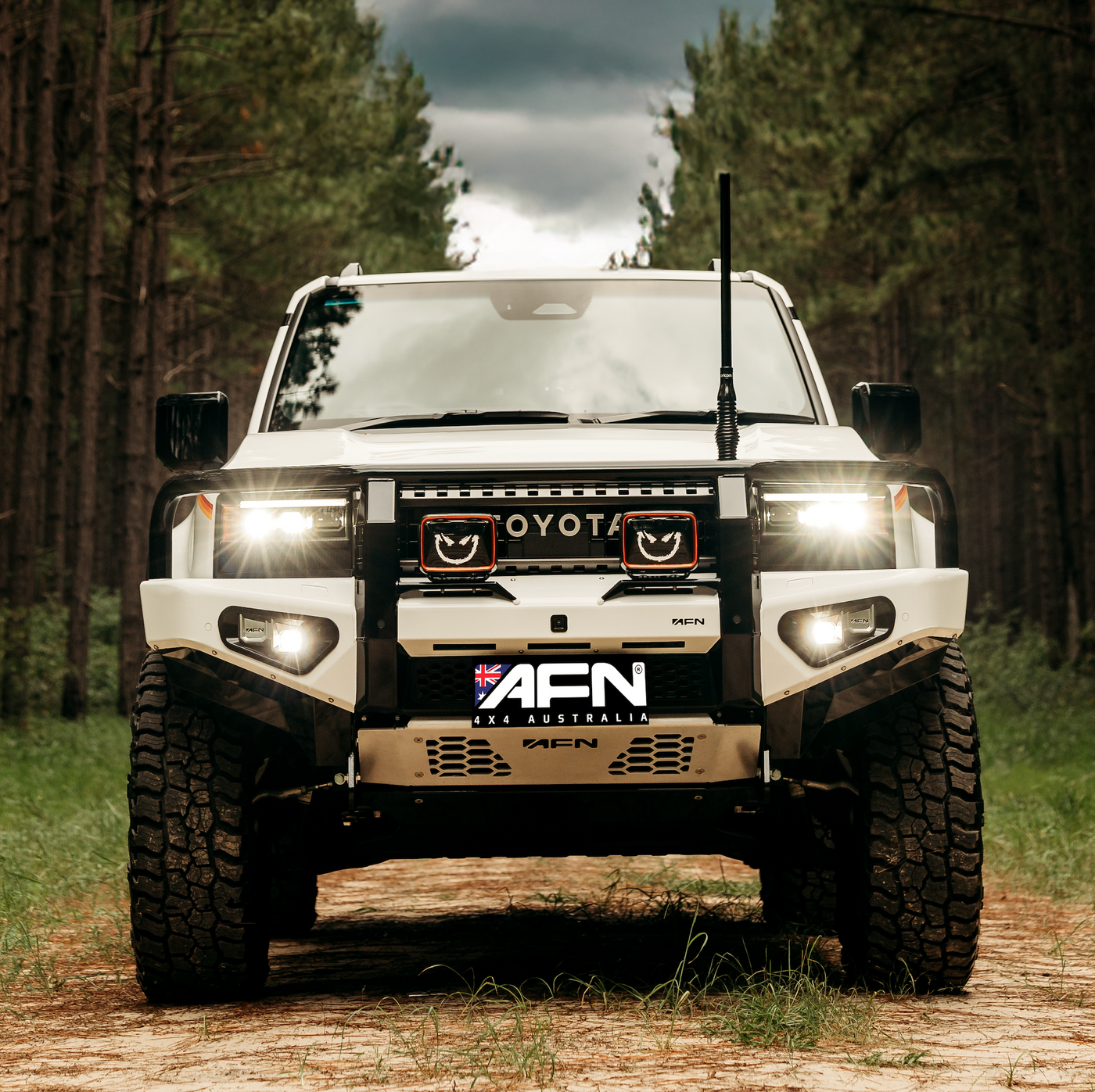 AFN 4x4 - Loop Bullbar - To Suit 250 PRADO